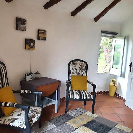Le Clos D'Almide Monestier  Екстер'єр фото