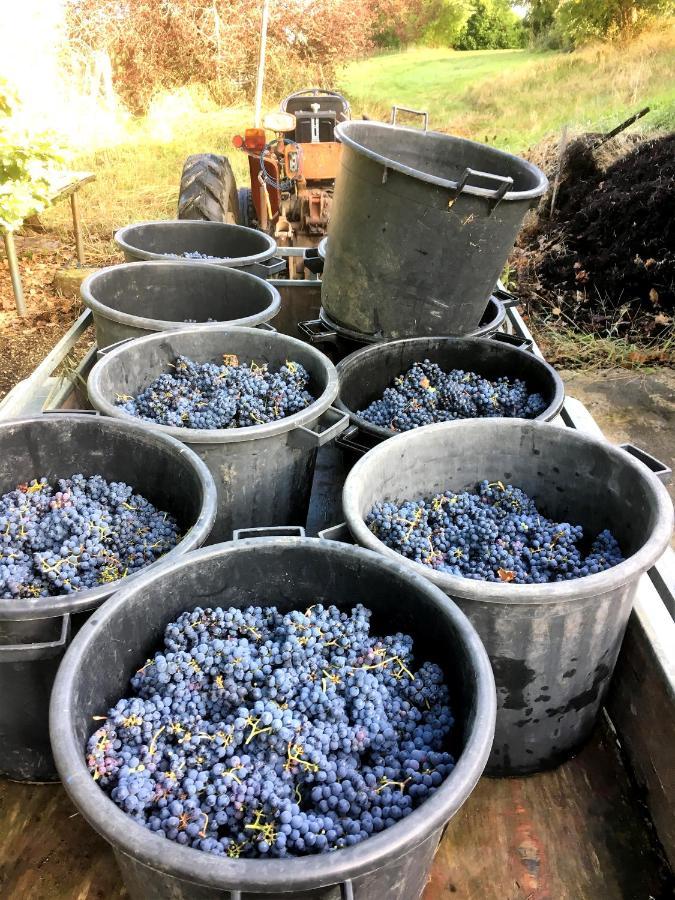 Le Clos D'Almide Monestier  Екстер'єр фото